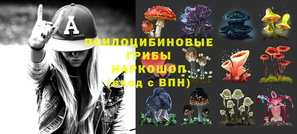 МДПВ Инта