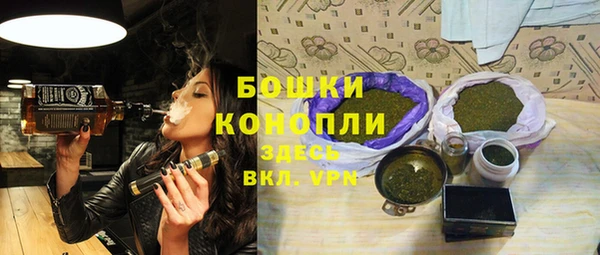 МДПВ Инта