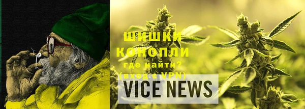 МДПВ Инта