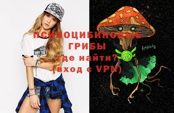 МДПВ Иннополис