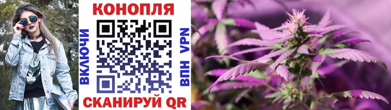 купить  цена  Пушкино  Шишки марихуана OG Kush 